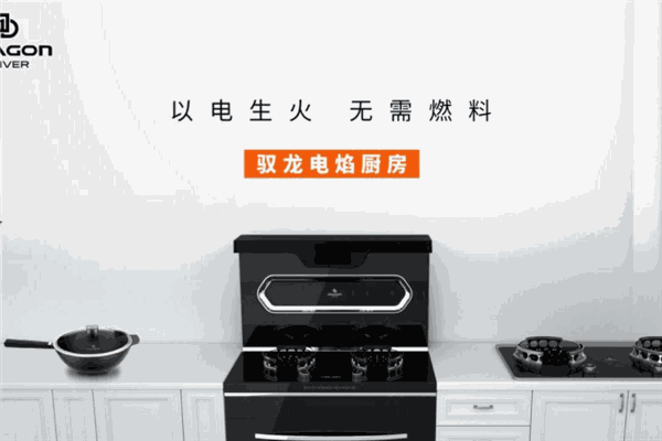 驭龙电器
