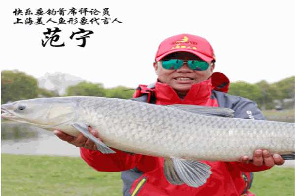 美人鱼渔具