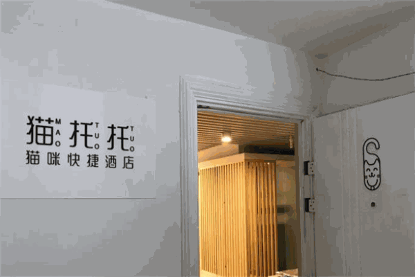 猫托托猫咪快捷酒店加盟
