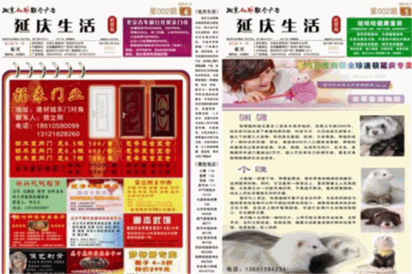 DM刊号