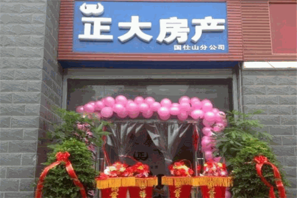 河北正大房产