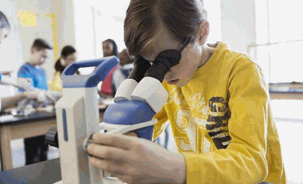 坚果科学实验室