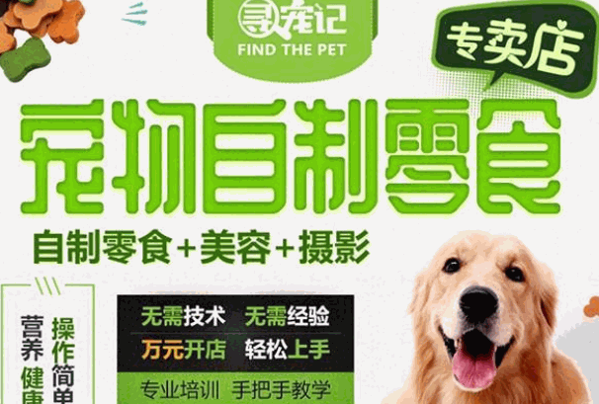 寻宠记