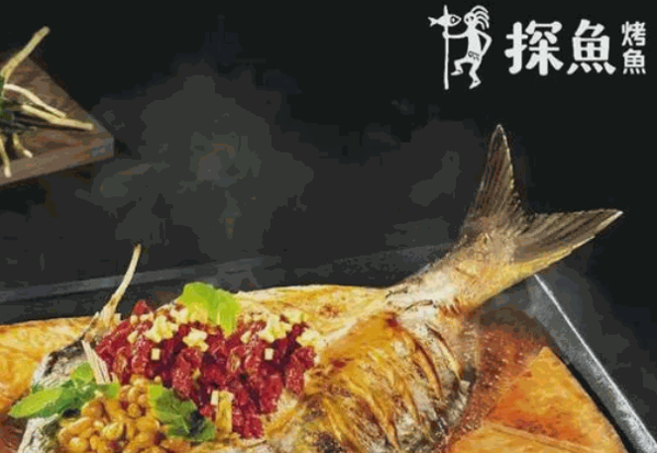 探鱼