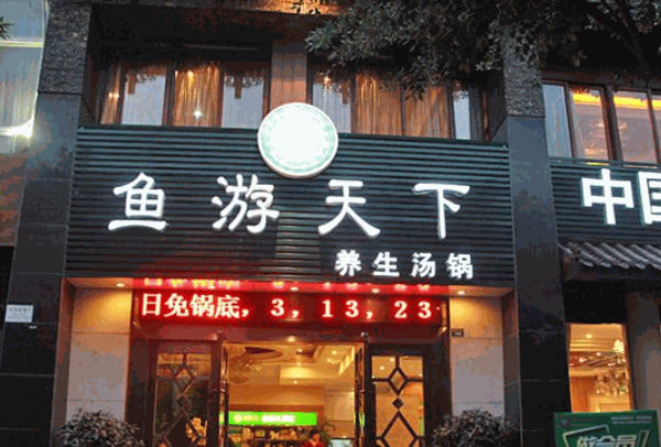 鱼游天下