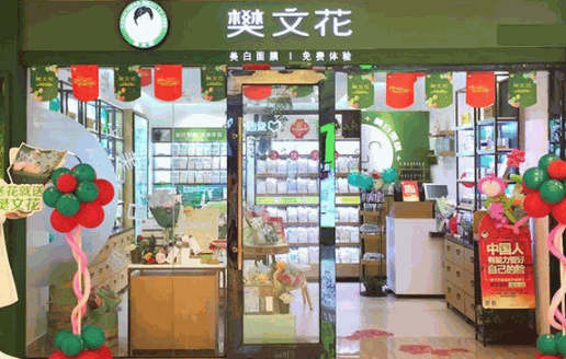 樊文花