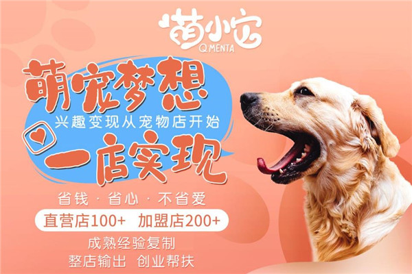 萌小它宠物