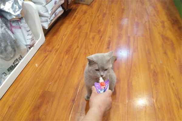 乐派宠物产品 门店图片