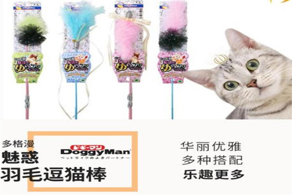多格漫宠物用品产品 门店图片