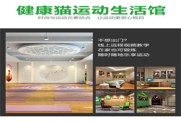 健康猫智能运动馆产品 门店图片