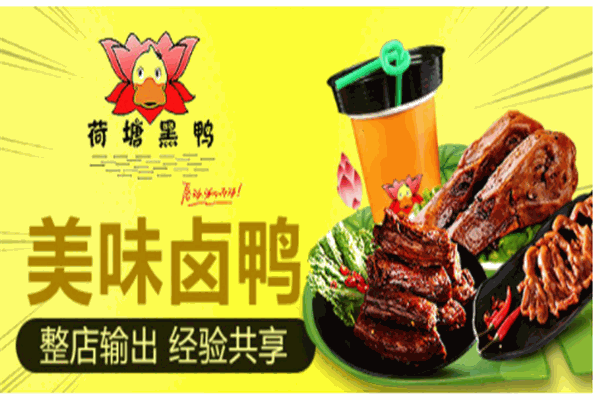 荷塘黑鸭