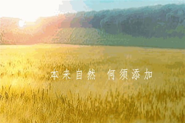 红墙御配