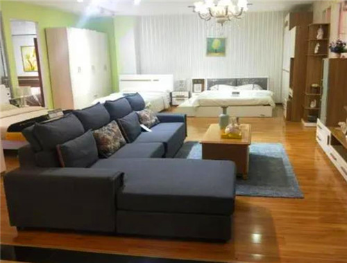 变色龙家具产品 门店图片