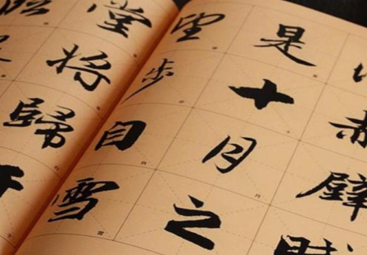 人人练字产品 门店图片