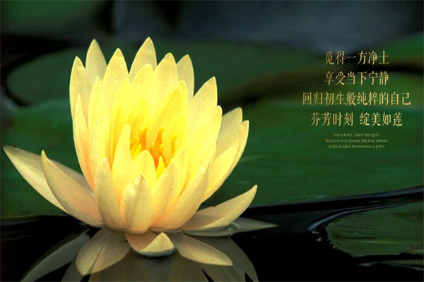 芬芳雪颜美容院产品 门店图片