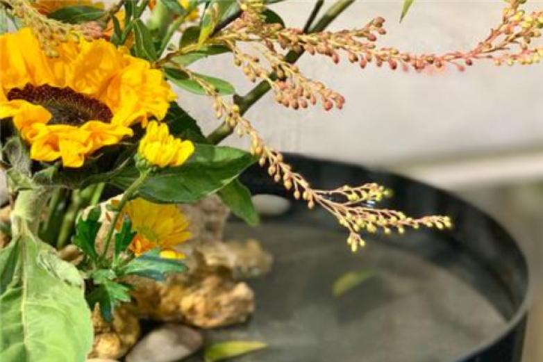 茶花荟产品 门店图片