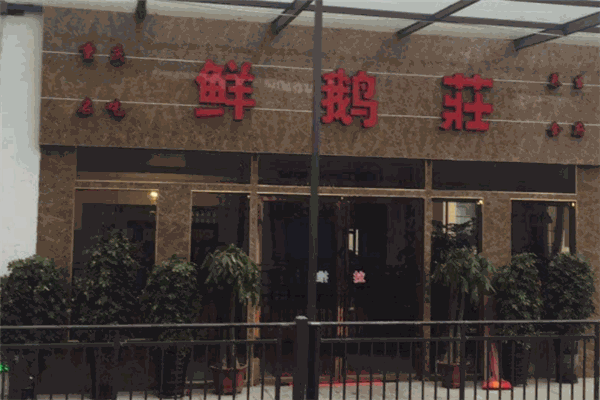 黄五爷鲜鹅庄