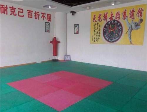 天龙跆拳道产品 门店图片