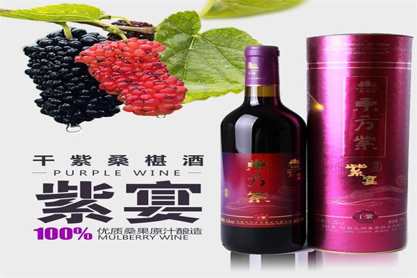 东方紫酒加盟