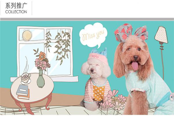 golove宠物产品 门店图片
