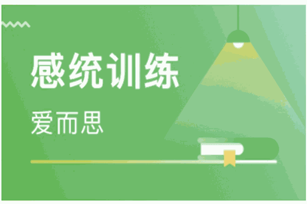 爱而思感统教育