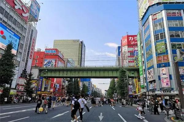 动漫大道