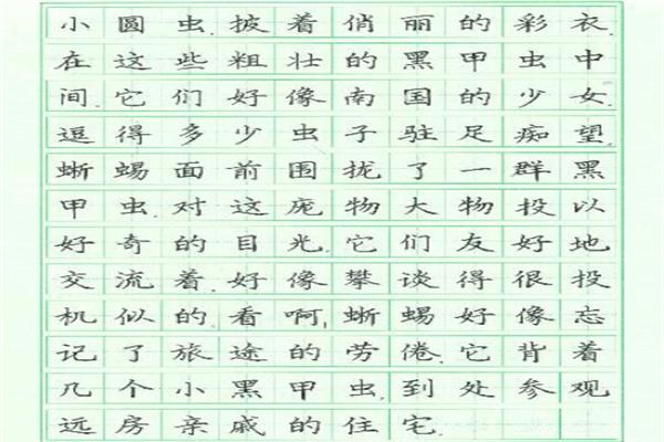 小状元练字产品 门店图片