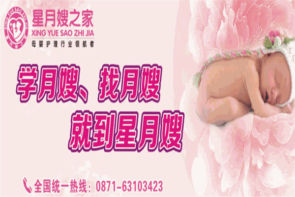 星月嫂之家