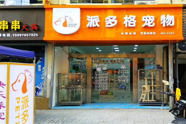 派多格宠物加盟