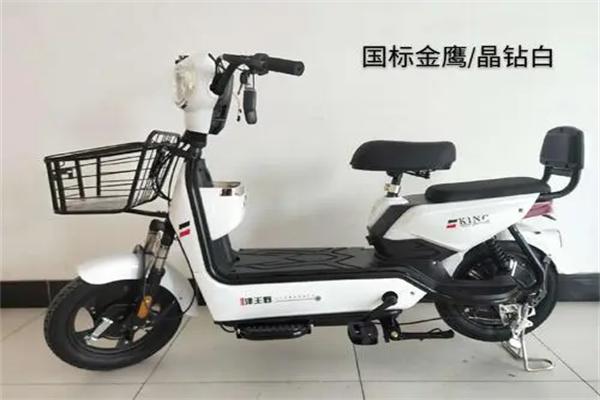 王野电动车加盟
