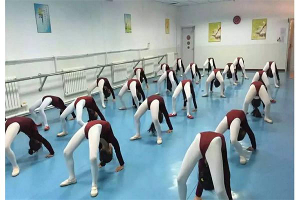 舞精灵文化培训产品 门店图片