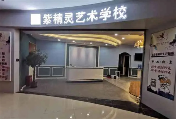 紫精灵艺术学校产品 门店图片