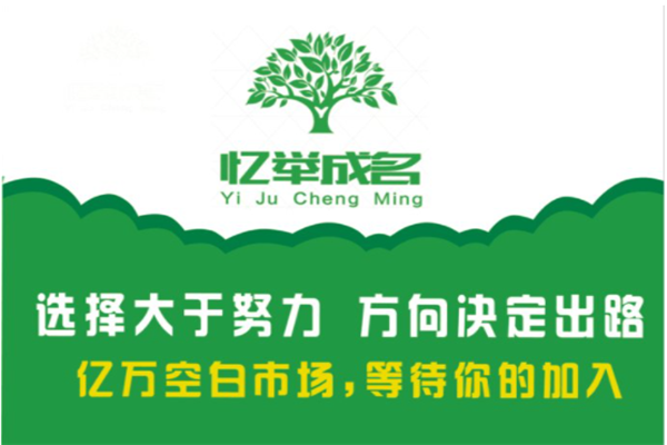 忆举成名