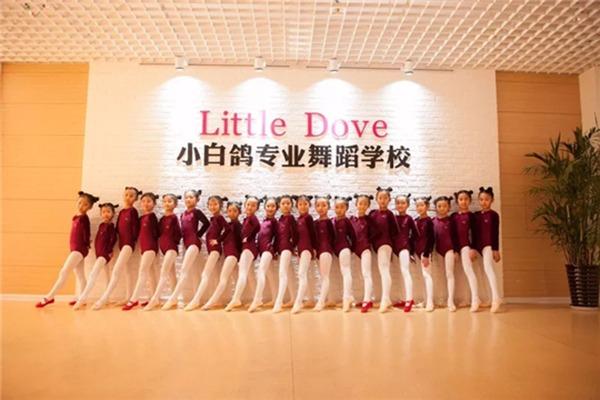 小白鸽舞蹈学校加盟