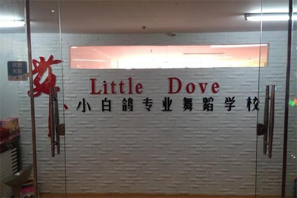 小白鸽舞蹈学校加盟