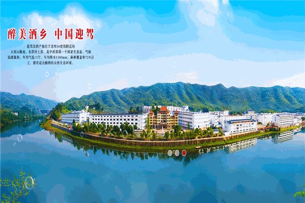 迎驾贡酒
