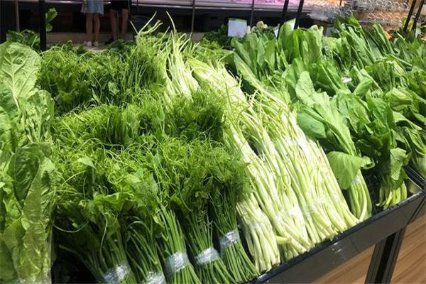 家乐园优鲜超市产品 门店图片