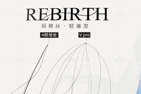 丽碧丝轻增发
