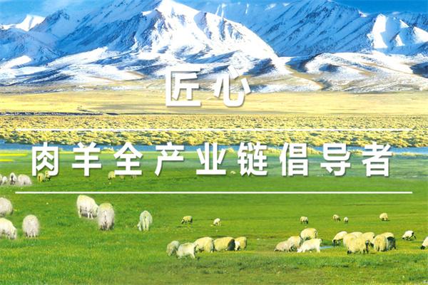 中天羊肉火锅产品 门店图片