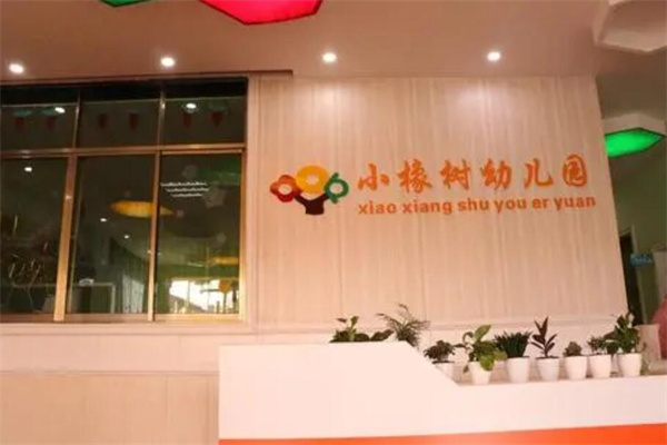小小橡树幼儿园加盟