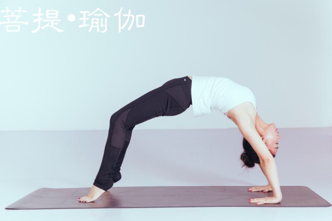 菩提瑜伽