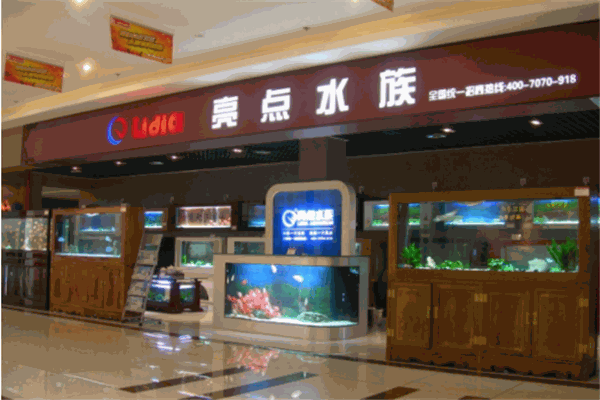 亮点水族
