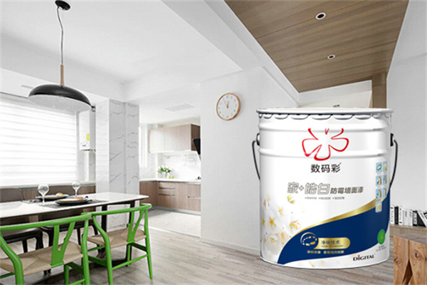 数码彩油漆产品 门店图片