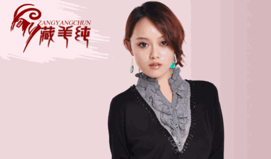藏羊纯羊毛衫产品 门店图片