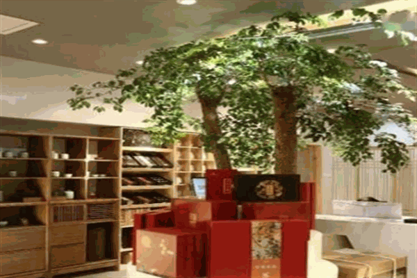 茶语大师茶空间产品 门店图片