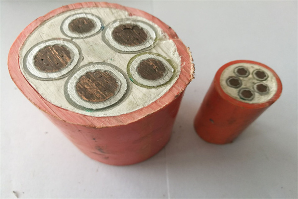金杯电缆产品 门店图片