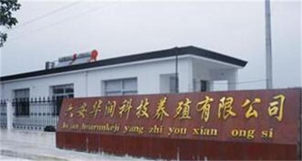 华润养殖费多少钱？