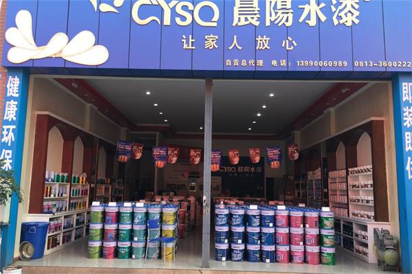 晨阳水漆产品 门店图片