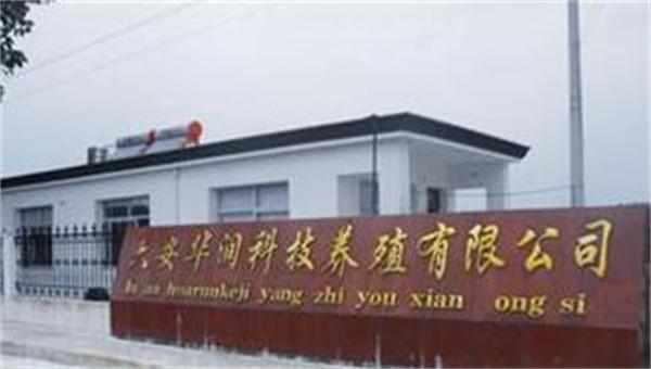 华润养殖怎么样？值得吗？
