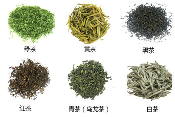京华茶叶产品 门店图片